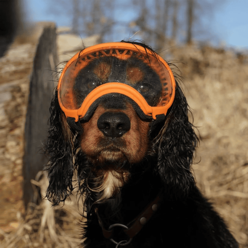 Dog Goggles UV400