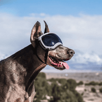 Dog Goggles UV400