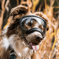 Dog Goggles UV400