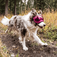 Dog Goggles UV400