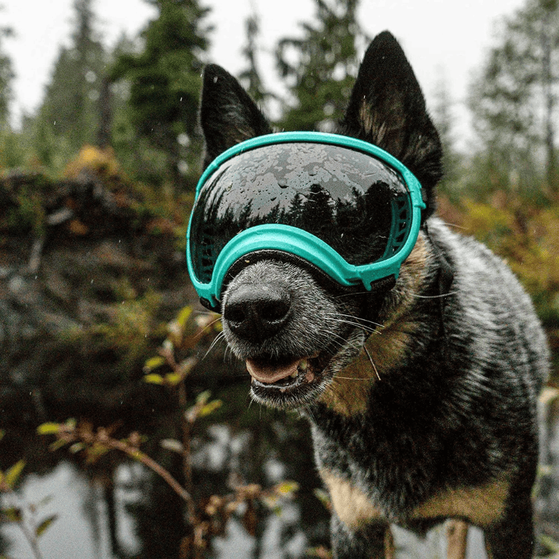Dog Goggles UV400