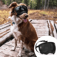 Dog Goggles UV400