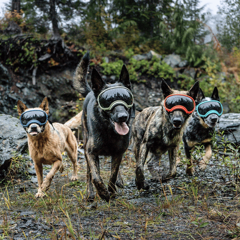 Dog Goggles UV400
