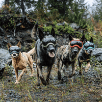Dog Goggles UV400