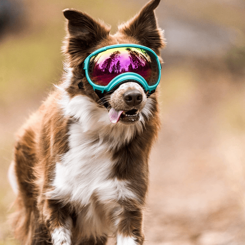 Dog Goggles UV400