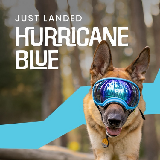 Dog Goggles UV400